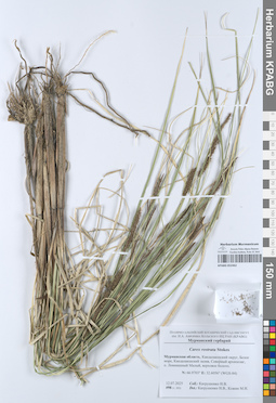 KPABG052462