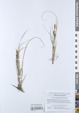 KPABG052463