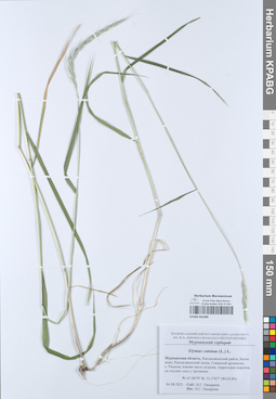 KPABG052489