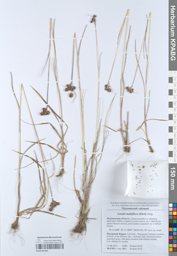 KPABG052499