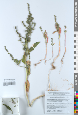 KPABG052521