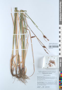 KPABG052532