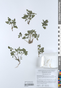 KPABG052547