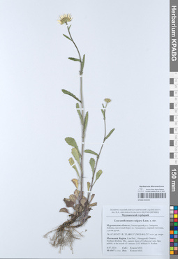 KPABG052555