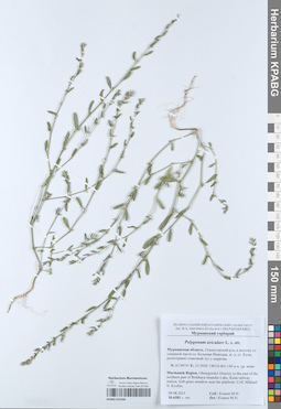 KPABG052568