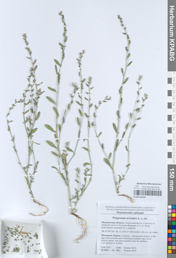 KPABG052569
