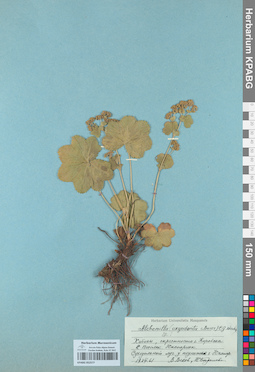 KPABG052577