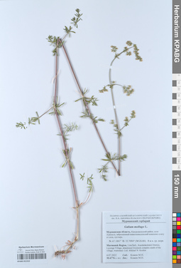 KPABG051910
