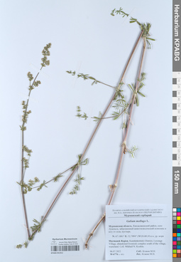 KPABG051911