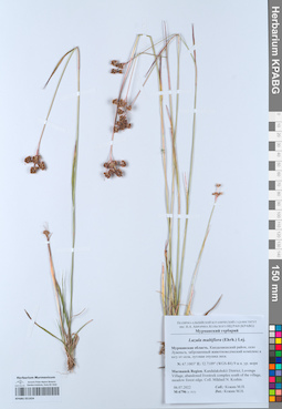 KPABG051924