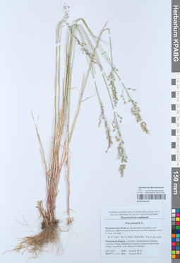 KPABG051930