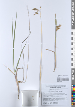 KPABG051931