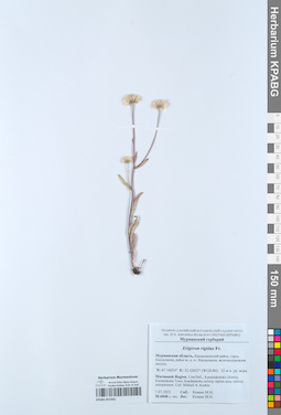KPABG051943