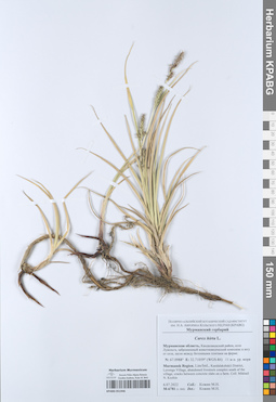 KPABG051946