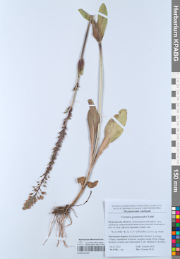 KPABG051955