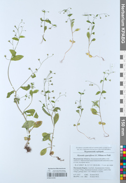 KPABG051962