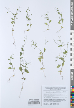 KPABG051963
