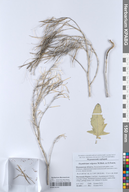 KPABG051970