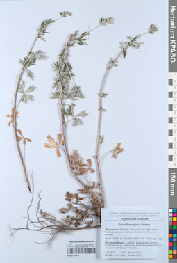 KPABG051977