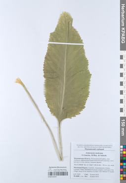 KPABG051979