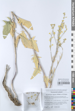 KPABG051982