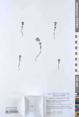 KPABG051986