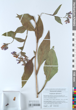 KPABG052036