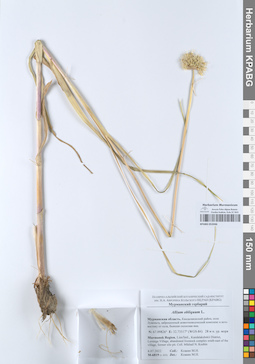 KPABG052046