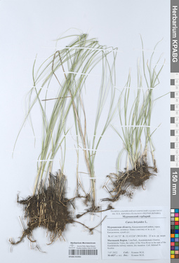 KPABG052062