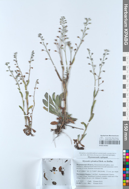 KPABG052063