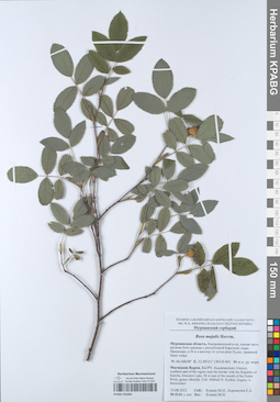 KPABG052081