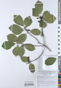 KPABG052083