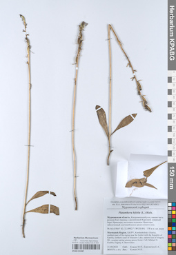 KPABG052087
