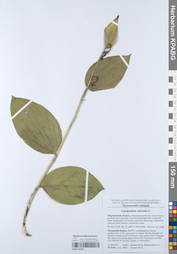 KPABG052088