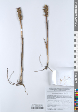 KPABG052090