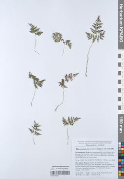 KPABG052093