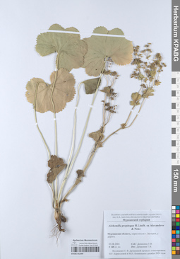 KPABG052099