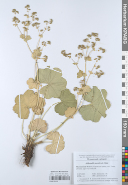 KPABG052102