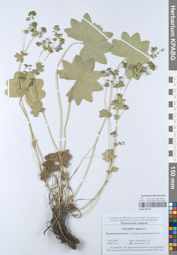 KPABG052129