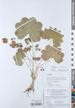 KPABG052145