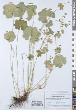 KPABG052154