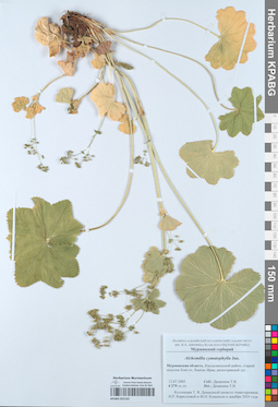 KPABG052162