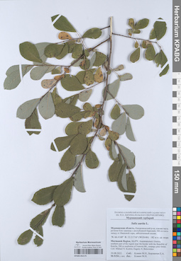 KPABG052175