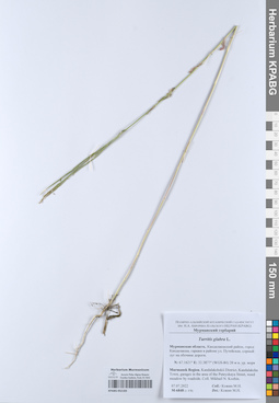 KPABG052183