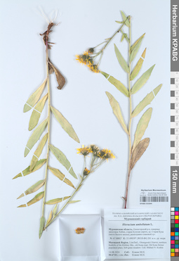 KPABG055044