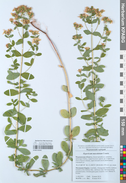 KPABG055045