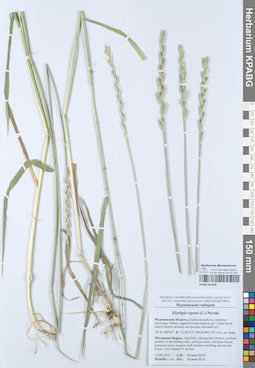 KPABG055048