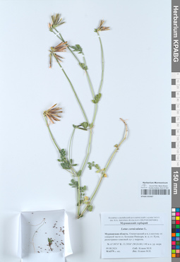 KPABG055067