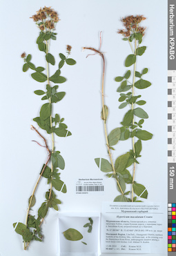 KPABG055073