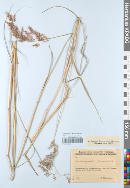 KPABG050434